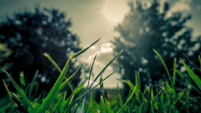 pg娱乐产品特性与优势展示